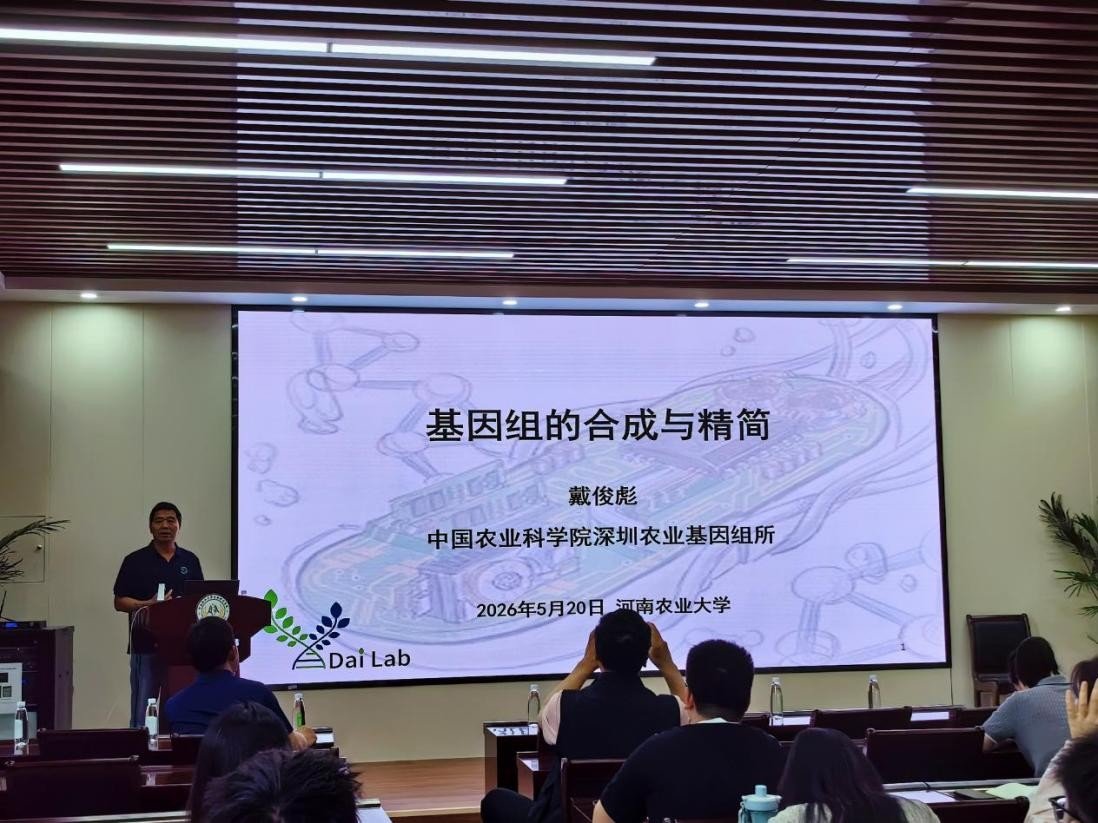 斗地主在线玩